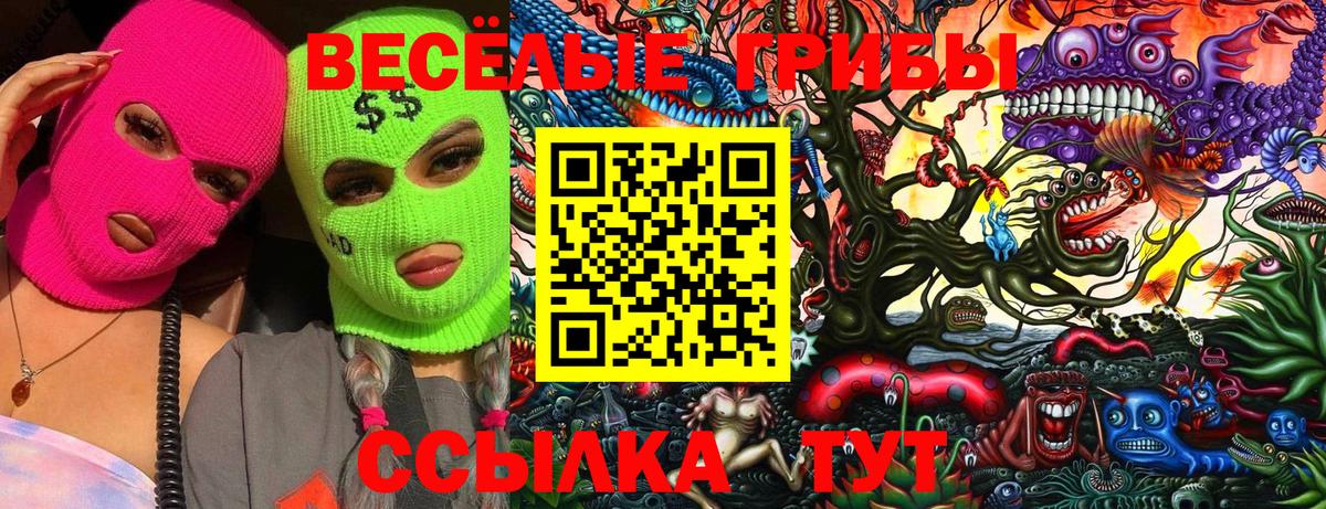 что такое   Галлюциногенные грибы Psilocybe  Вход с VPN  Спасск-Дальний  Галлюциногенные грибы GOLDEN TEACHER 