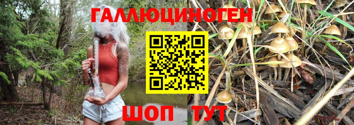 Псилоцибиновые грибы GOLDEN TEACHER Спасск-Дальний